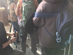 -牛背梁国家森林公园