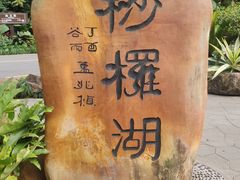 -深圳仙湖植物园