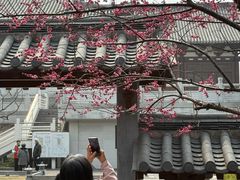 -钱王祠
