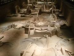 -洛阳周王城天子驾六博物馆