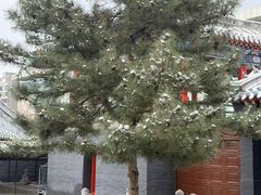 -长安寺