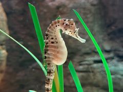 -沈阳海洋探索中心