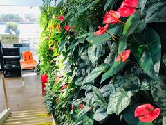 -Peet's Coffee皮爷咖啡(大学路店)