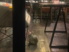 -肴约·花园式餐厅(湖里店)
