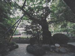 -汇龙潭