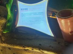 -横店影视城梦幻谷园区