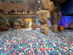 -卡通尼·Safari非洲探索乐园·生日会(金桥国际商业广场店)