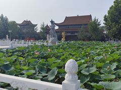 -大悲禅寺
