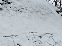-黑龙潭风景区