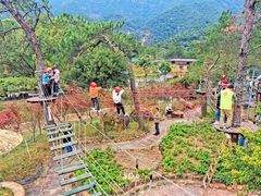 -牛鱼嘴原始生态风景区