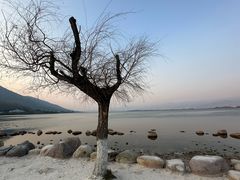 -西昌邛海湾柏樾酒店(原邛海湾柏栎度假酒店)