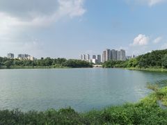-广东花都湖国家湿地公园