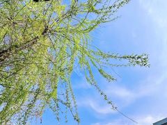 -泉城广场