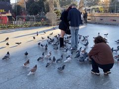 -加泰罗尼亚广场