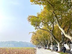 -北山街历史文化街区