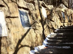 -高尔山公园