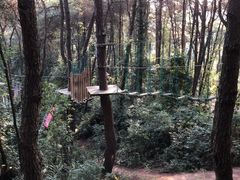 -芦仙山景区-飞越丛林探险乐园