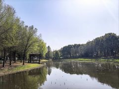 -同里国家湿地公园