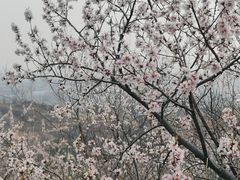 -白水寺森林公园