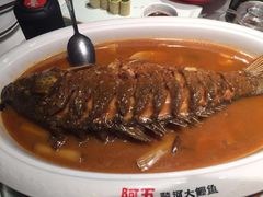 -阿五黄河大鲤鱼(纬三路店)