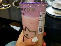 -一只酸奶牛(八一路店)