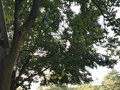 -浙江大学(玉泉校区)