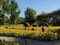 -长白岛森林公园