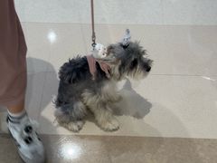 -冰纷万象滑冰场(沈阳万象城店)