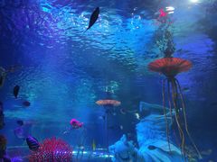 -沈阳海洋探索中心