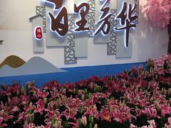 -万顷园艺世界