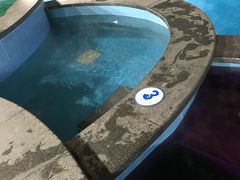 -嘉佑温泉水世界