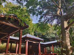 -阳台山森林公园