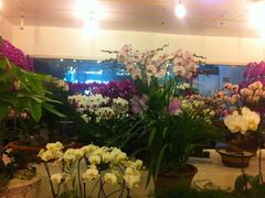 -双季花艺园艺市场(浦东店)