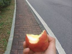 -火炉山森林公园