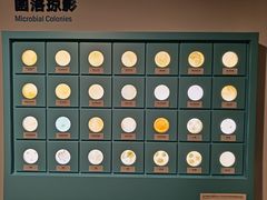 -四川大学博物馆