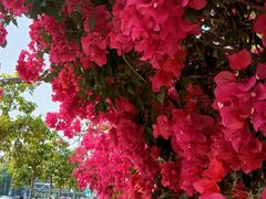 -华南国家植物园-售票处