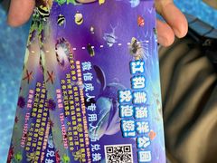 -江和美海洋公园
