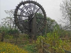 -溱湖国家湿地公园