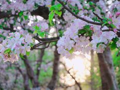 -海棠花溪(元大都城垣遗址公园)