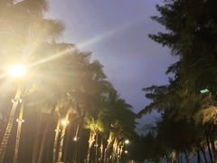 -万绿园