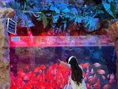 -南昌融创海世界