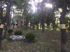 -长辛店二七公园