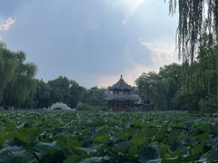 -莲池书院博物馆