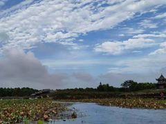 -上海海湾国家森林公园