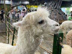 -上海昆虫博物馆