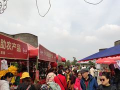 -秀丽东方