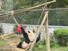 -黔灵山公园