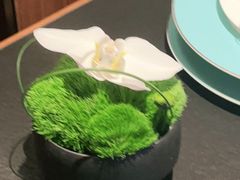 -淮香国色(正大中心店)