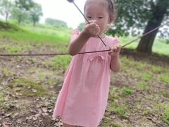 -漕湖湿地公园