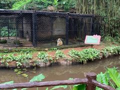 -海南热带野生动植物园